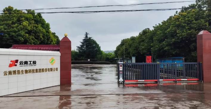 睿智革新，簡約時尚｜輕奢美