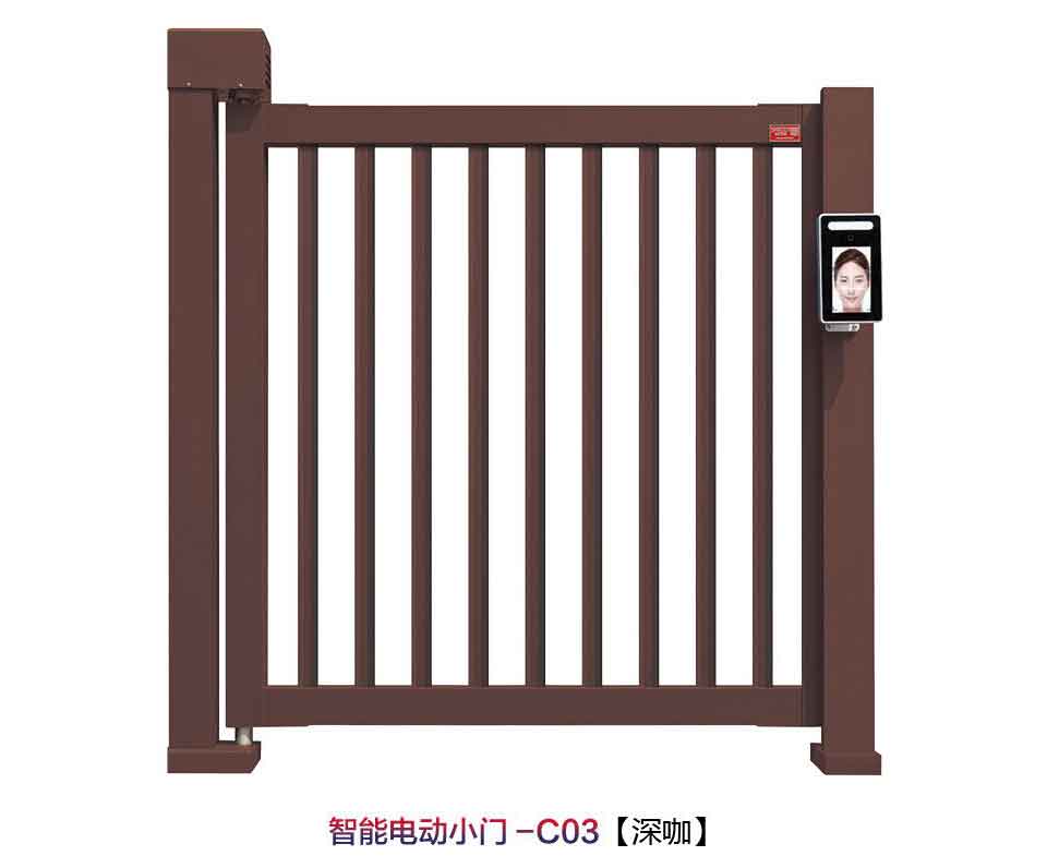 智能電動小門C03